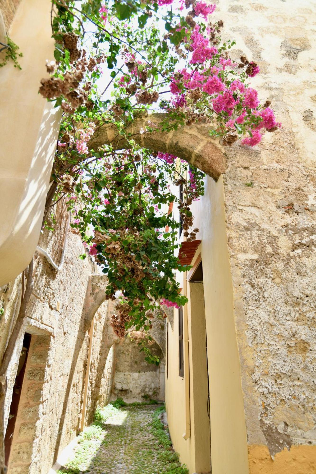 Penelope Garden House Old Town Apartment Rhodes City ภายนอก รูปภาพ